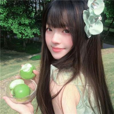 精灵高中:鬼魂高中